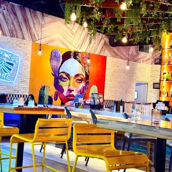 Vibrant restaurant interior with yellow bar stools, a colorful mural, and hanging greenery.